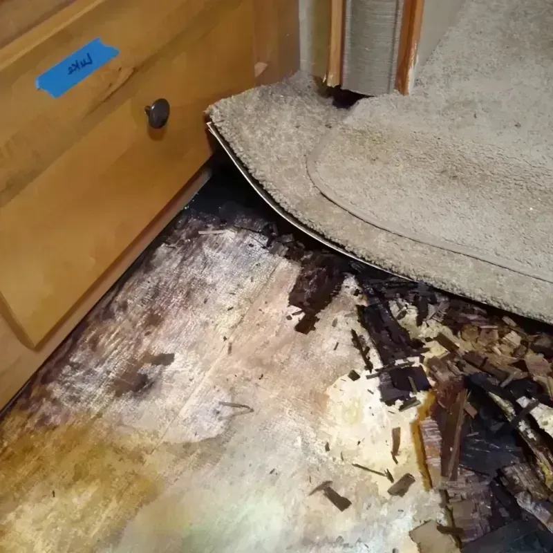 Wood Floor Water Damage in Lee County, IL